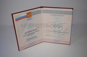 Аттестат За 11 Класс 2011г Серебро в Ульяновске