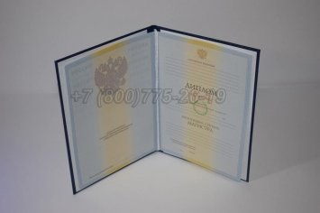 Диплом Магистра 2010г в Ульяновске