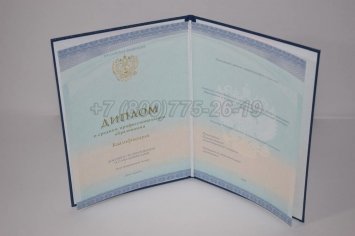 Диплом Техникума 2018г СпецБланк в Ульяновске